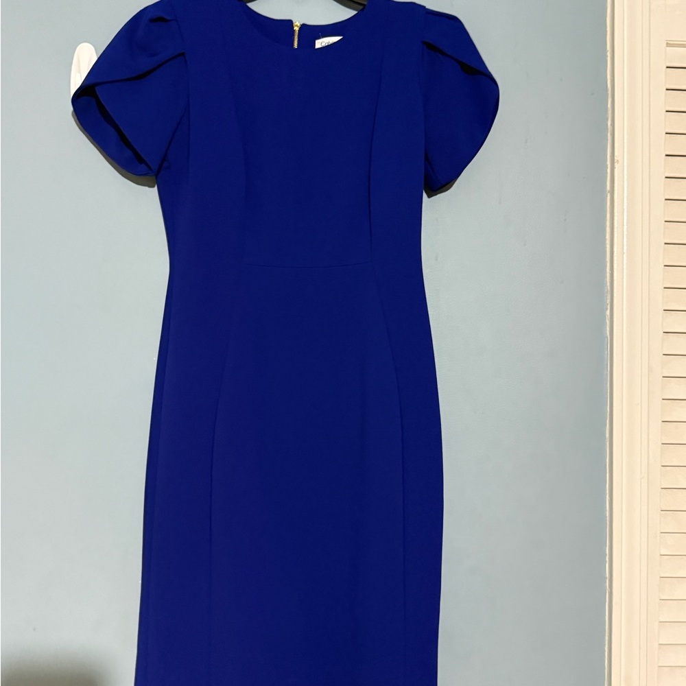 Calvin Klein Royal Blue Midi Dress - Picture 3 of 16